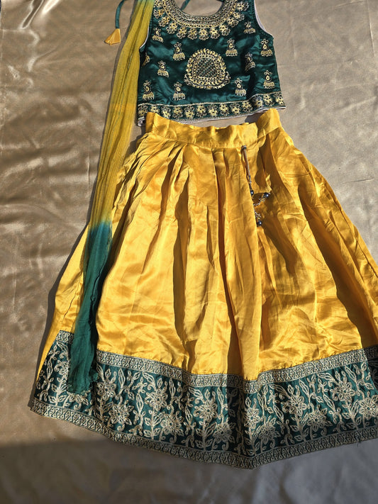 Dim Gray Kids lehenga 18