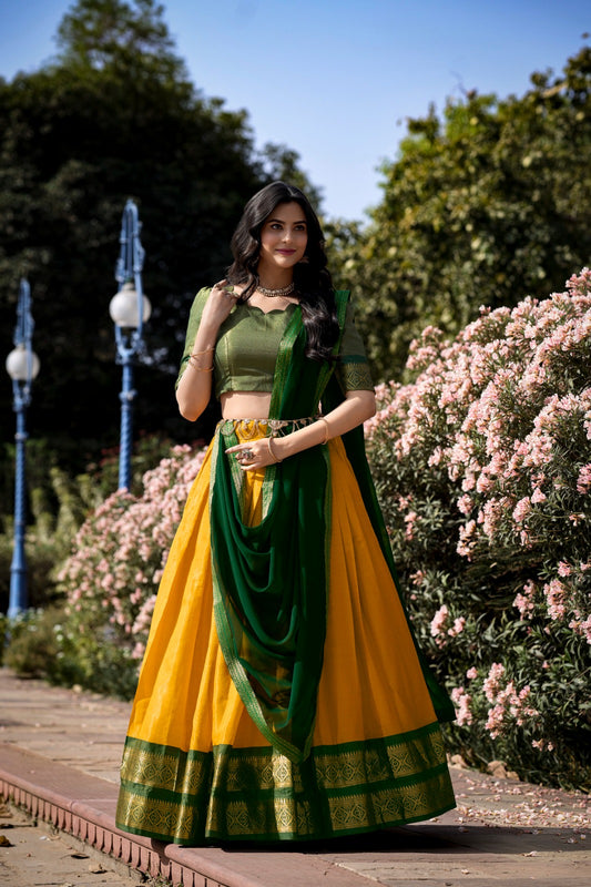 Mira Half saree 04