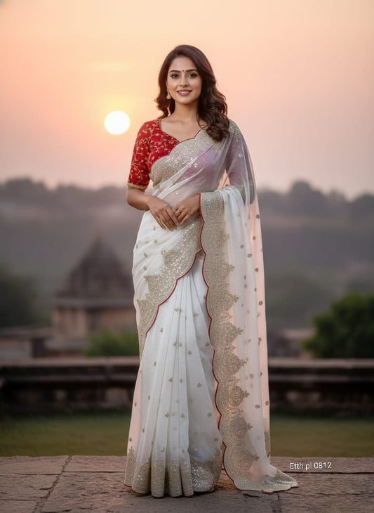 Saree with Stitched blouse